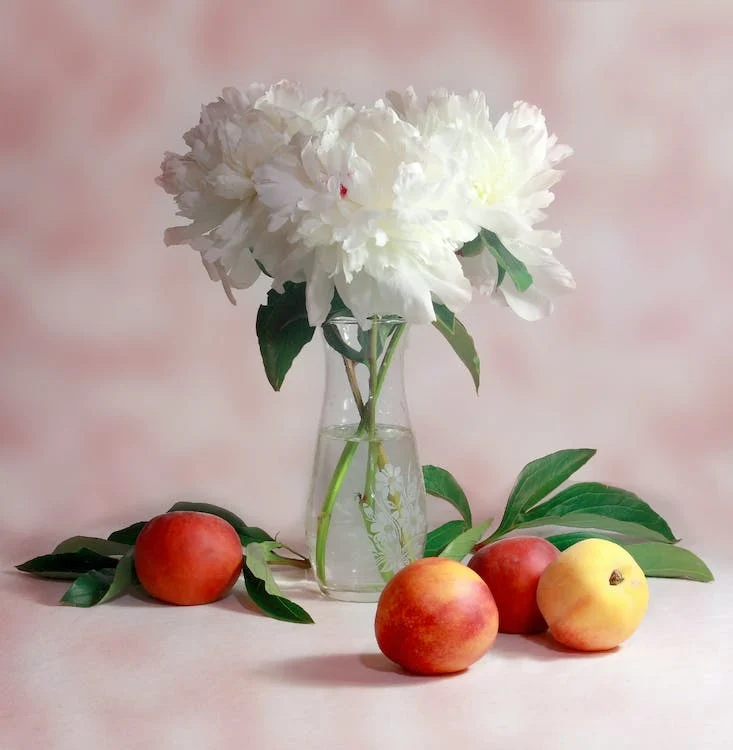 Photographie de nature morte : 4 techniques essentielles pour créer des images percutantes 1 photographie-nature-morte