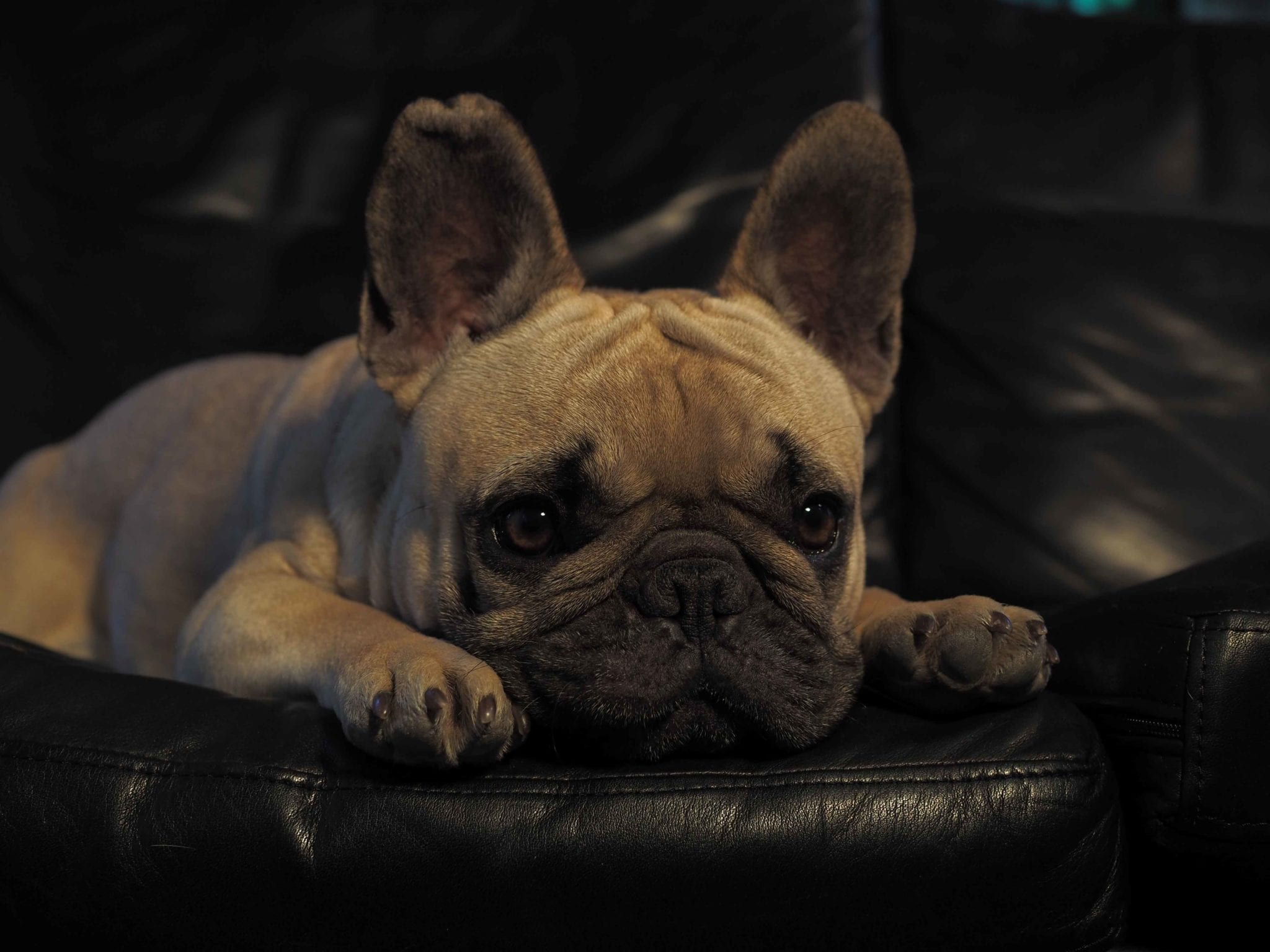 Olympus-OM-D E-M10-Mark-II-exemple-image