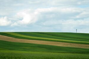 les lignes horizontales en photographie