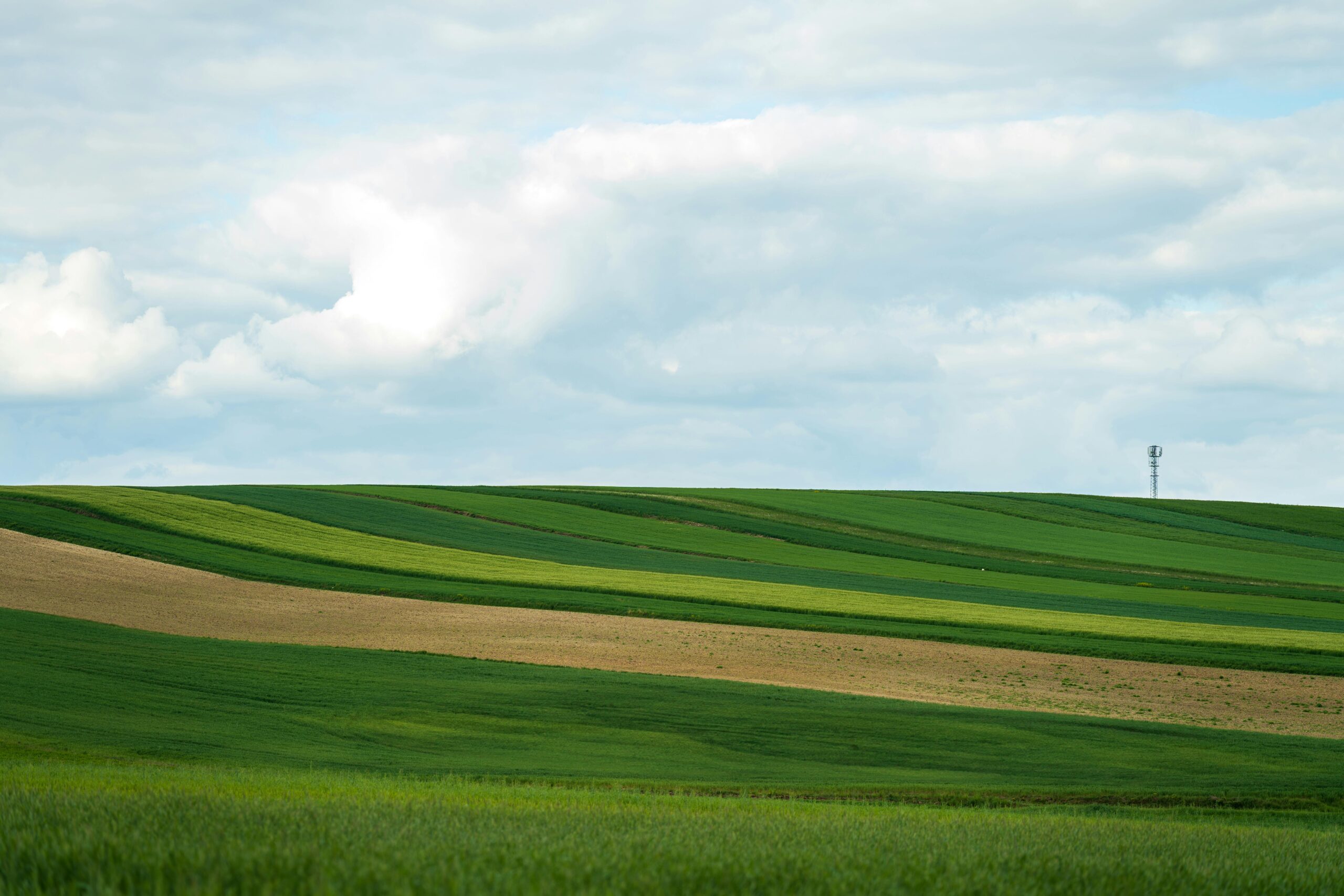 les lignes horizontales en photographie