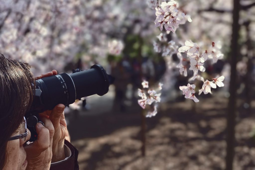Meilleur-Objectif-Macro-Canon