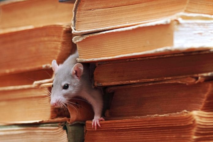 Pourquoi Utiliser un Retardateur : 5 Bonnes Raisons ! 5 Pourquoi Utiliser un Retardateur1