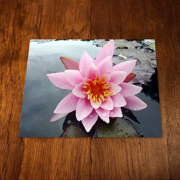 10 Moyens de Vivre de La Photographie 9