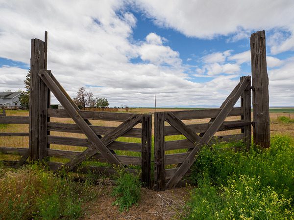 M.Zuiko ED 8–25 mm f4 PRO_exemple-image