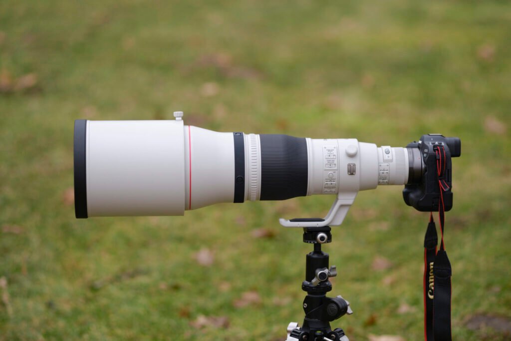Canon RF 600mm f/4 L IS USM