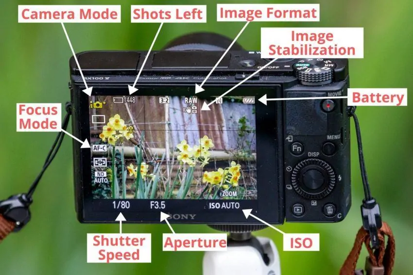 Comment Utiliser Un Appareil Photo Compact : Le Guide Ultime 9 Compact-camera-on-screen