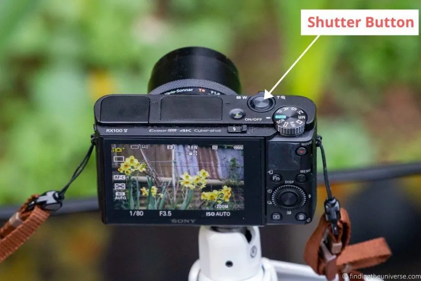 Comment Utiliser Un Appareil Photo Compact : Le Guide Ultime 1 le déclencheur