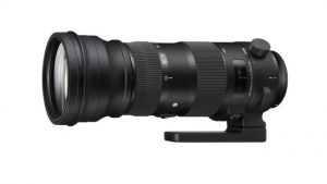 Sigma 150-600mm f5-6.3 DG OS HSM