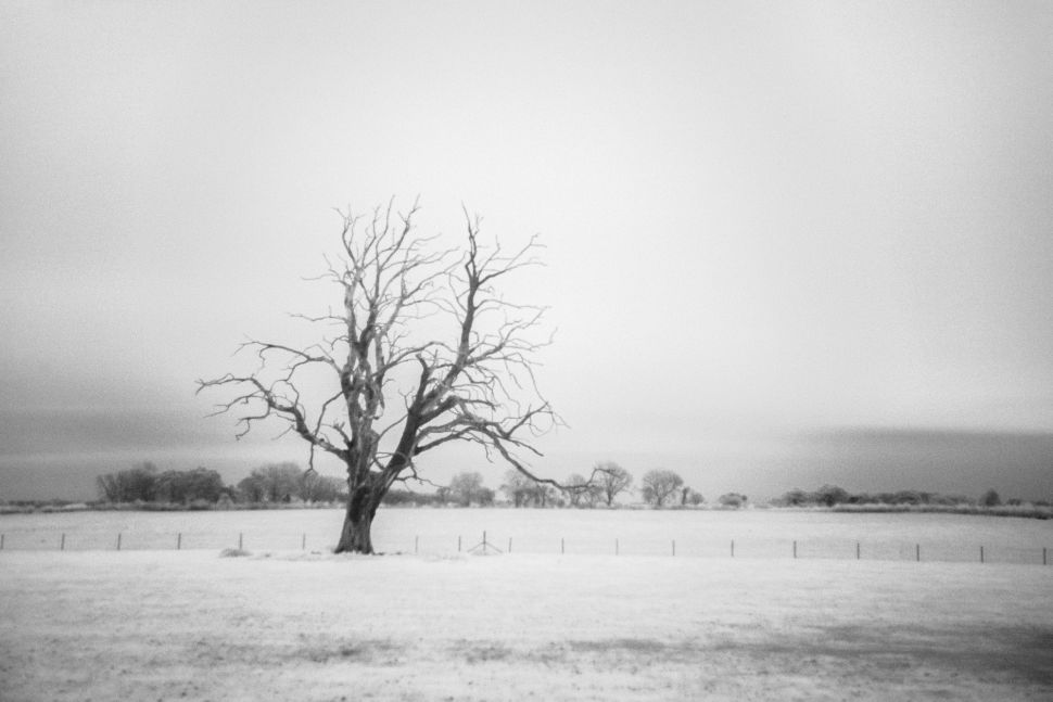 photos-infrarouges10