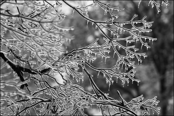 bokeh photographier en hiver