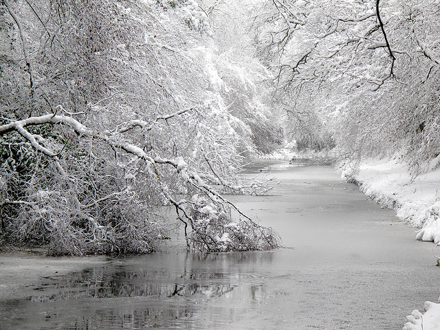 neige frêche