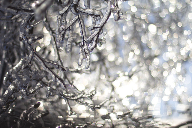neige qui font