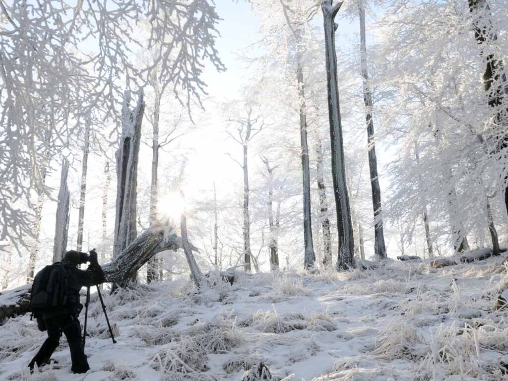 Photographier les paysages d’hiver : 7 conseils pour réussir vos photos dans la neige 8 photographe avec un trépied dans une forêt eneigée