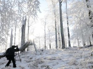 5 Conseils pour mieux photographier les paysages d'hiver
