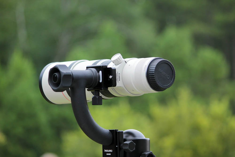 Rotule pendulaire supportant un téléobjectif 150-600mm pour une séance photo en affût.