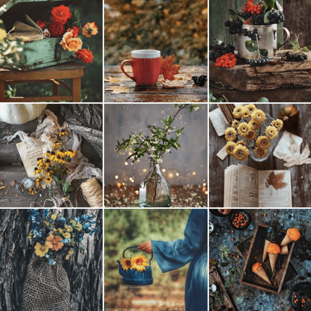 25 stories photos et hashtags Instagram à suivre pour promouvoir vos photos sur les réseaux sociaux. 18 10006 1