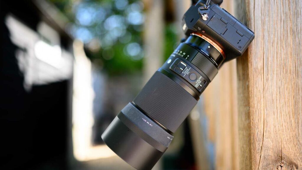 Les 10 Meilleurs Appareils Photo Pour Débuter En Macro photosavi