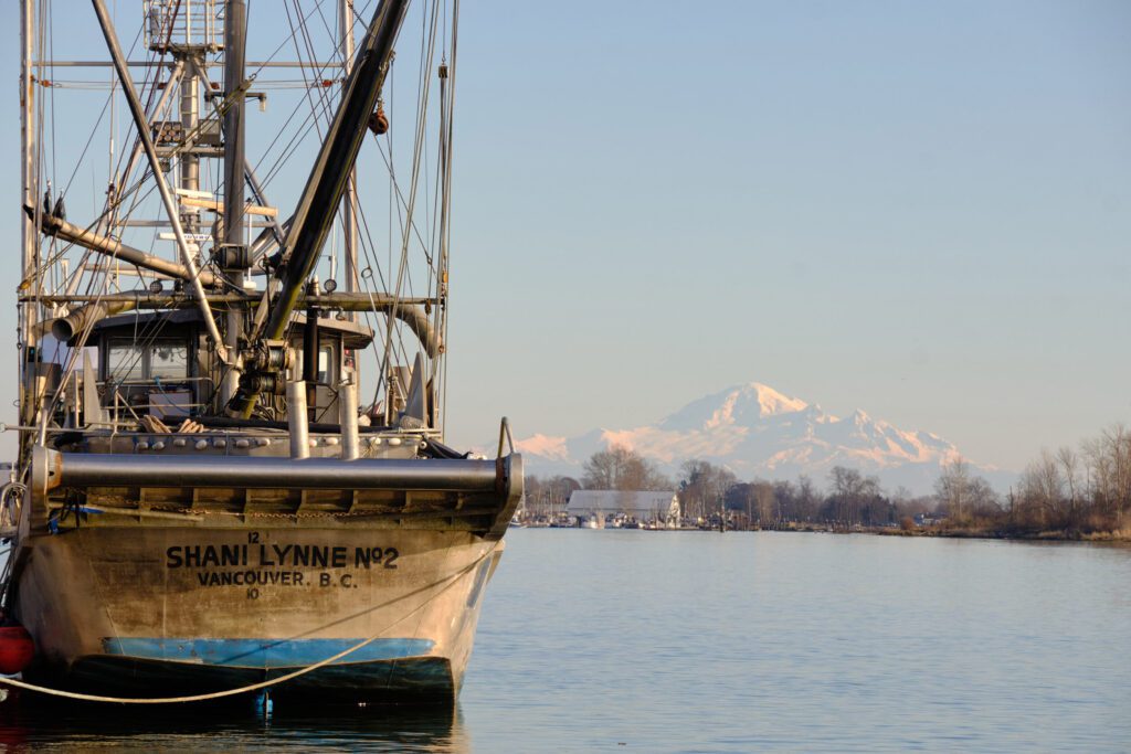 Meilleurs Objectifs pour Fujifilm X-T30 en 2025 34 Steveston Harbour and Mount Baker. Fujifilm X-Pro2, XF 18-135mm f/3.5-5.6 R LM OIS WR @ 135 mm, f/11