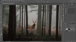 5.redimensionner-et-reposition