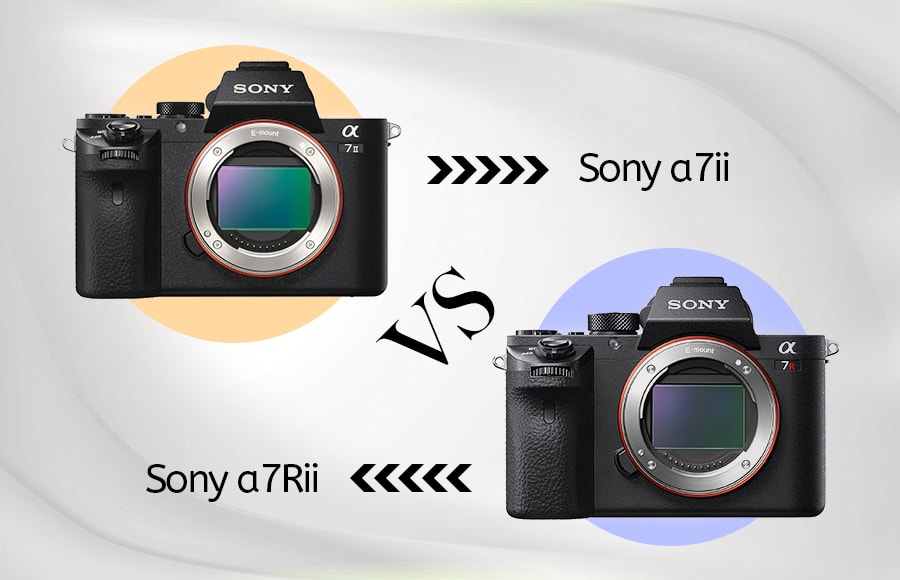 Sony A7 II VS Sony A7R II Lequel Choisir photosavi