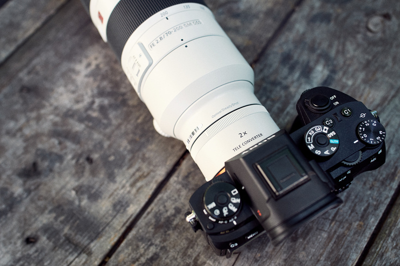 photographier les oiseaux à l’aide du Sony A9-2