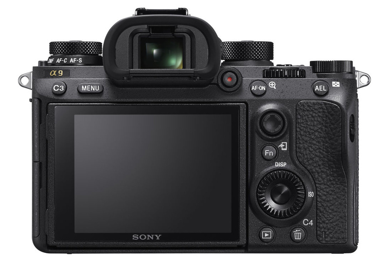photographier les oiseaux a laide du Sony A9 3