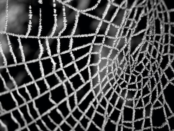 53 projets de photographie hivernale 4 toile_gelée