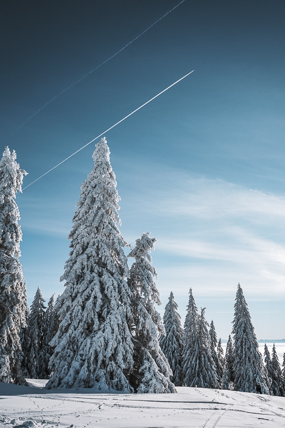 Comment photographier en hiver 9 caffe_noel
