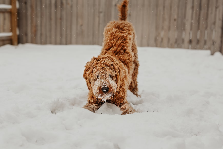 Comment photographier en hiver 14 dissolution neige