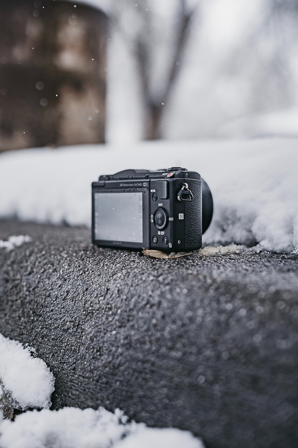 Comment photographier en hiver 15 chiot dans la neige