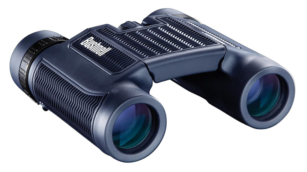 Bushnell H20 10x25