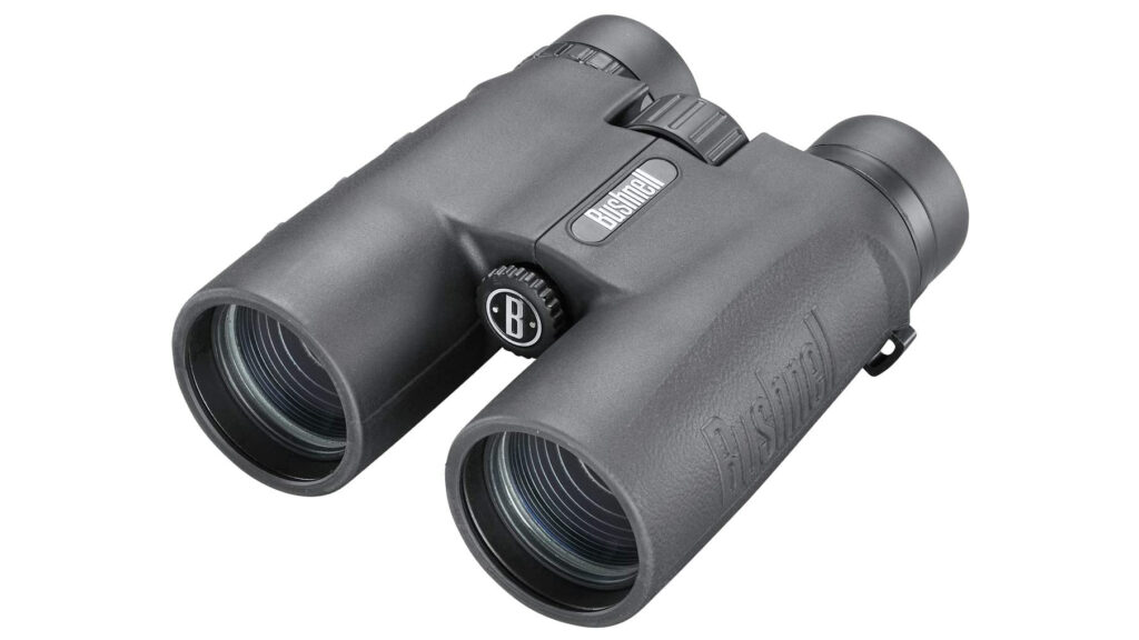 Bushnell 10x42