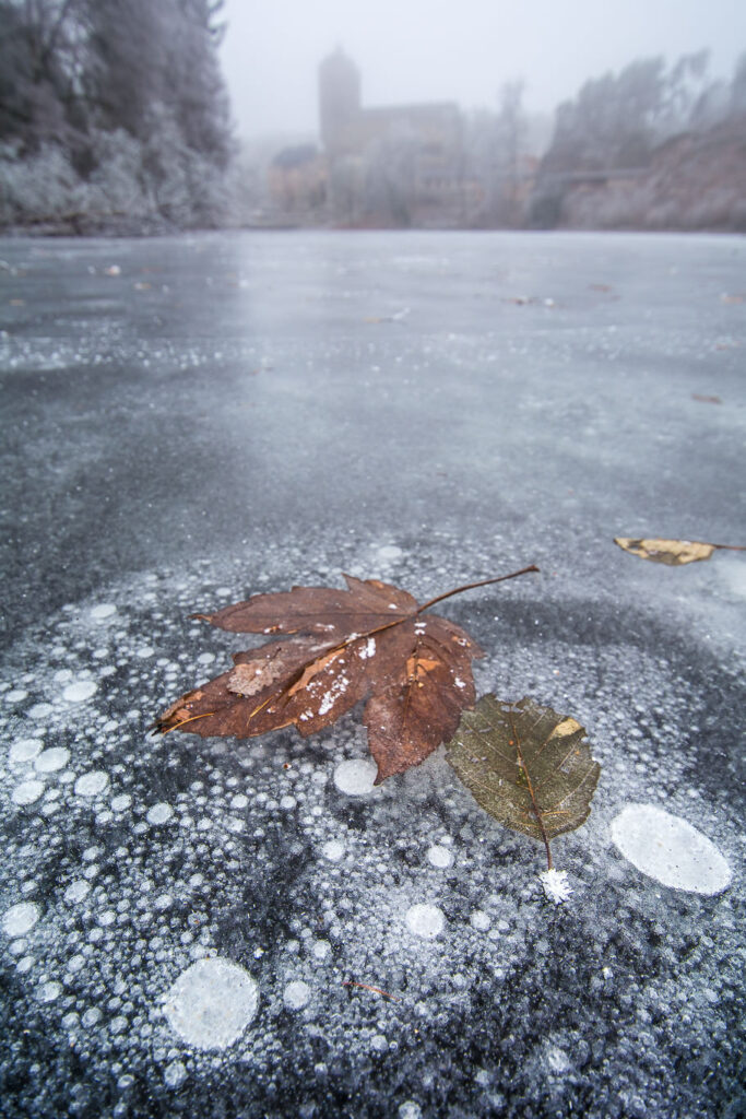 Comment réussir ses photos de paysage en hiver 9 feuille_lac_gelé