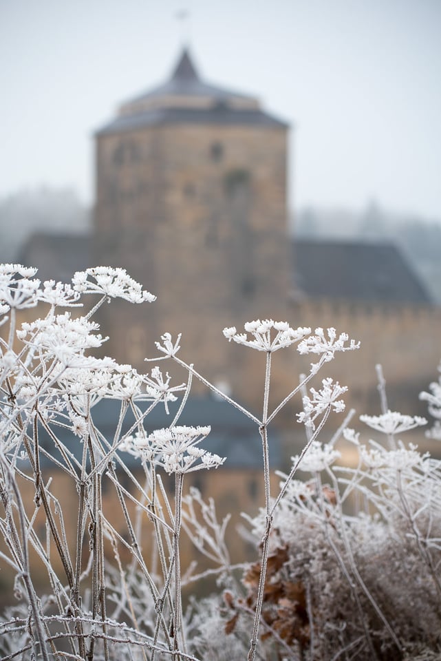 Comment réussir ses photos de paysage en hiver 10 herbes_gelé_chateau