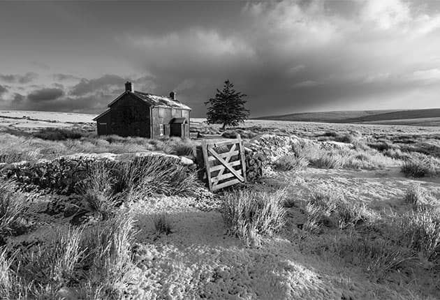cabane