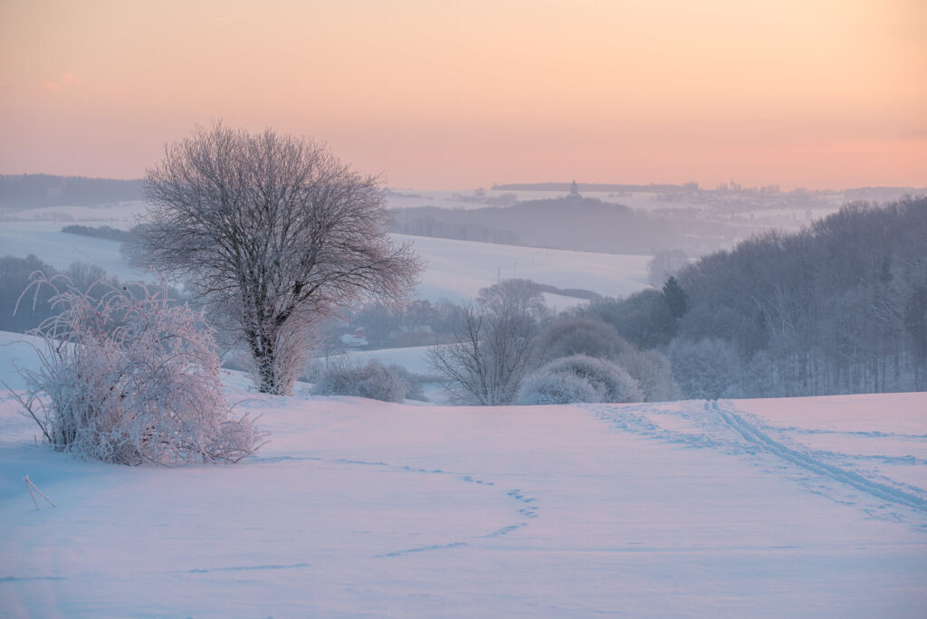 Comment réussir ses photos de paysage en hiver 12 paysage _neige_arbre