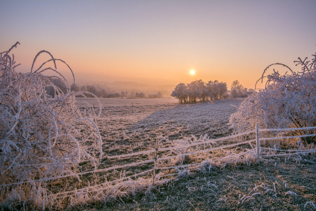 Comment réussir ses photos de paysage en hiver 16 pleine_neige_brousse
