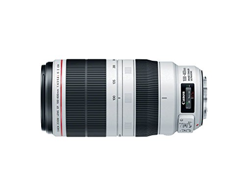 Meilleurs objectifs pas chers pour reflex plein format de Canon