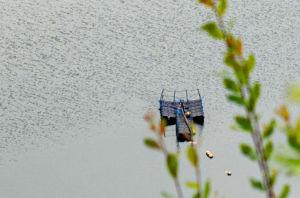 J'ai monté un objectif vintage sur mon Nikon et les résultats étaient stupéfiants 3 photo de lac avec objectif vintage