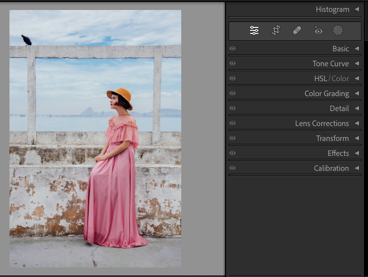 Comment Donner un Effet Vintage à Vos Photos avec Lightroom : Guide Pas à Pas 1 photo vintage