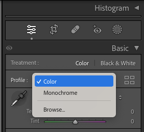 Comment Donner un Effet Vintage à Vos Photos avec Lightroom : Guide Pas à Pas 2 mnochrome