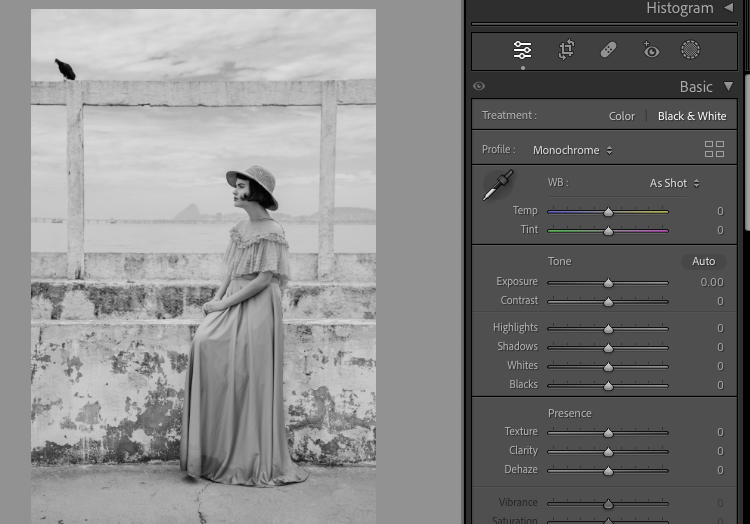 Comment Donner un Effet Vintage à Vos Photos avec Lightroom : Guide Pas à Pas 4 photo vintage
