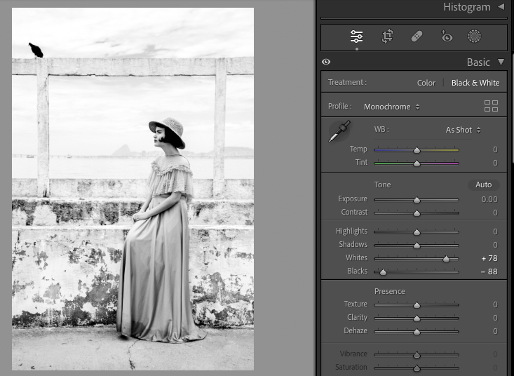 Comment Donner un Effet Vintage à Vos Photos avec Lightroom : Guide Pas à Pas 3 photo vintage