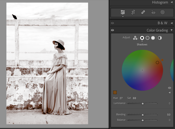 Comment Donner un Effet Vintage à Vos Photos avec Lightroom : Guide Pas à Pas 5 photo vintage