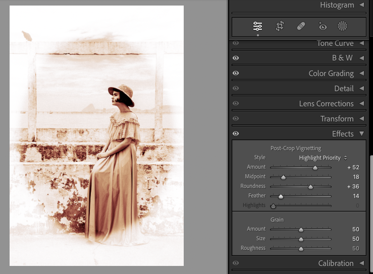 Comment Donner un Effet Vintage à Vos Photos avec Lightroom : Guide Pas à Pas 11 effet vintage
