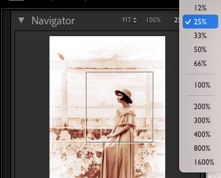 Comment Donner un Effet Vintage à Vos Photos avec Lightroom : Guide Pas à Pas 13 ton sepia