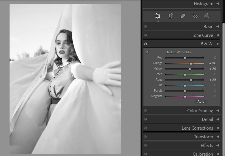 Comment Donner un Effet Vintage à Vos Photos avec Lightroom : Guide Pas à Pas 17 Photo en noir et blanc d'une femme posant derrière un tissu transparent, avec à droite l'interface d'un logiciel de retouche photo