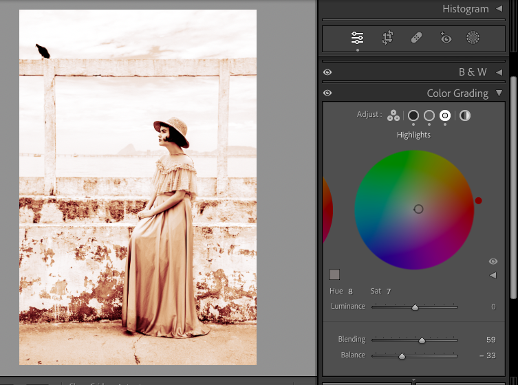 Comment Donner un Effet Vintage à Vos Photos avec Lightroom : Guide Pas à Pas 8 effet sepia