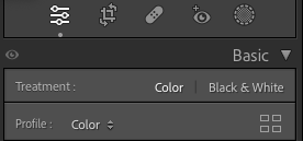 Comment Donner un Effet Vintage à Vos Photos avec Lightroom : Guide Pas à Pas 16 monochrome