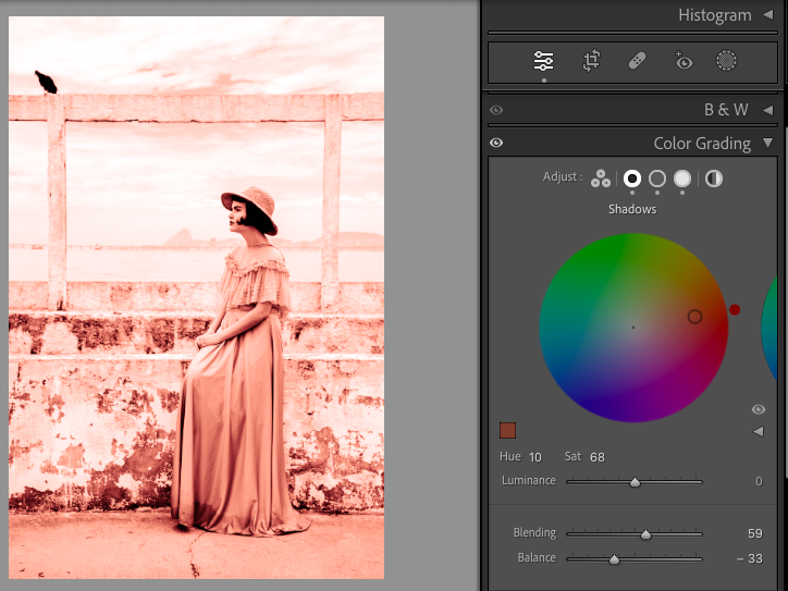 Comment Donner un Effet Vintage à Vos Photos avec Lightroom : Guide Pas à Pas 6 sepia